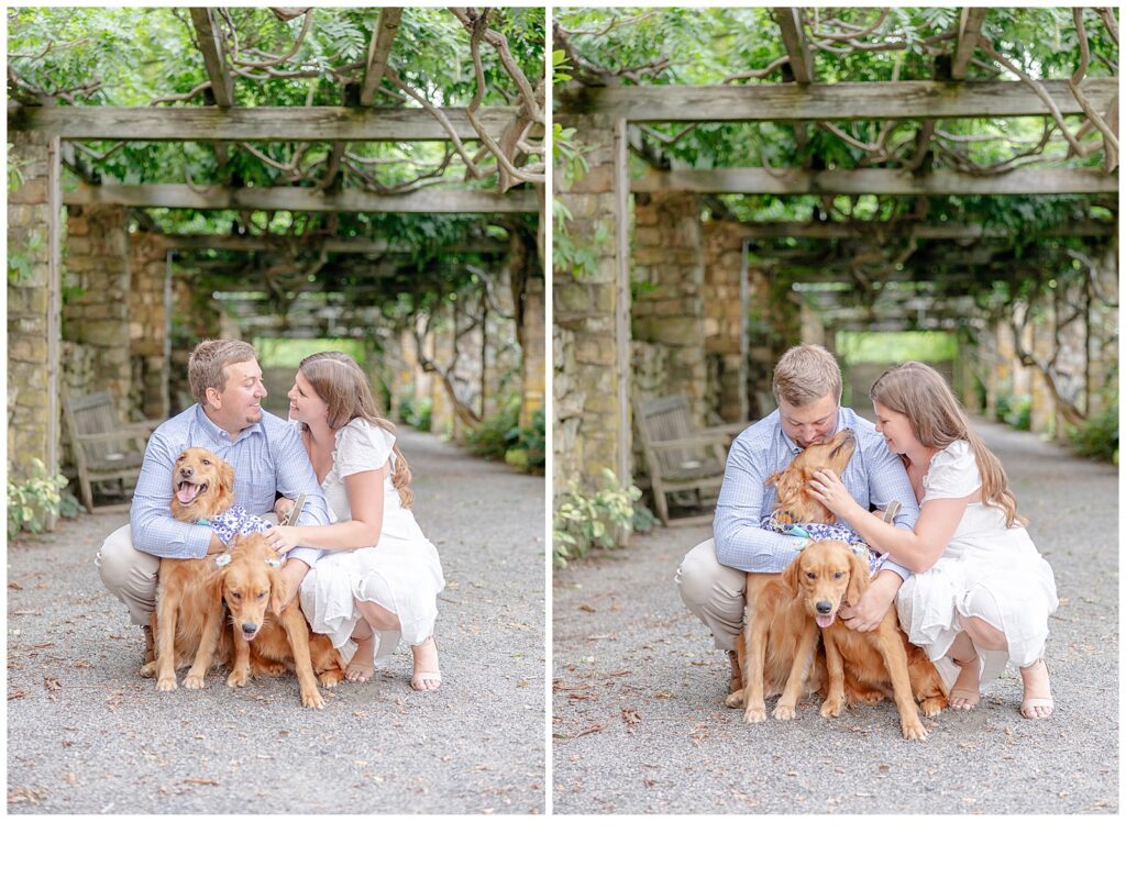 couple playing with dogs 