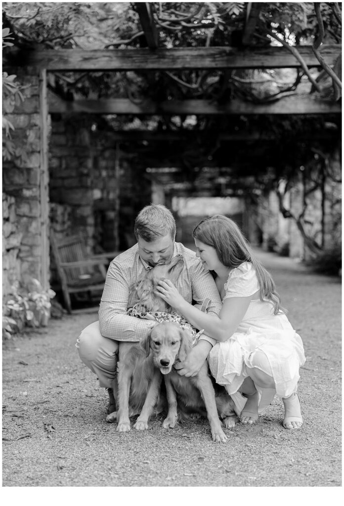 black and white image of couple playing with dogs 