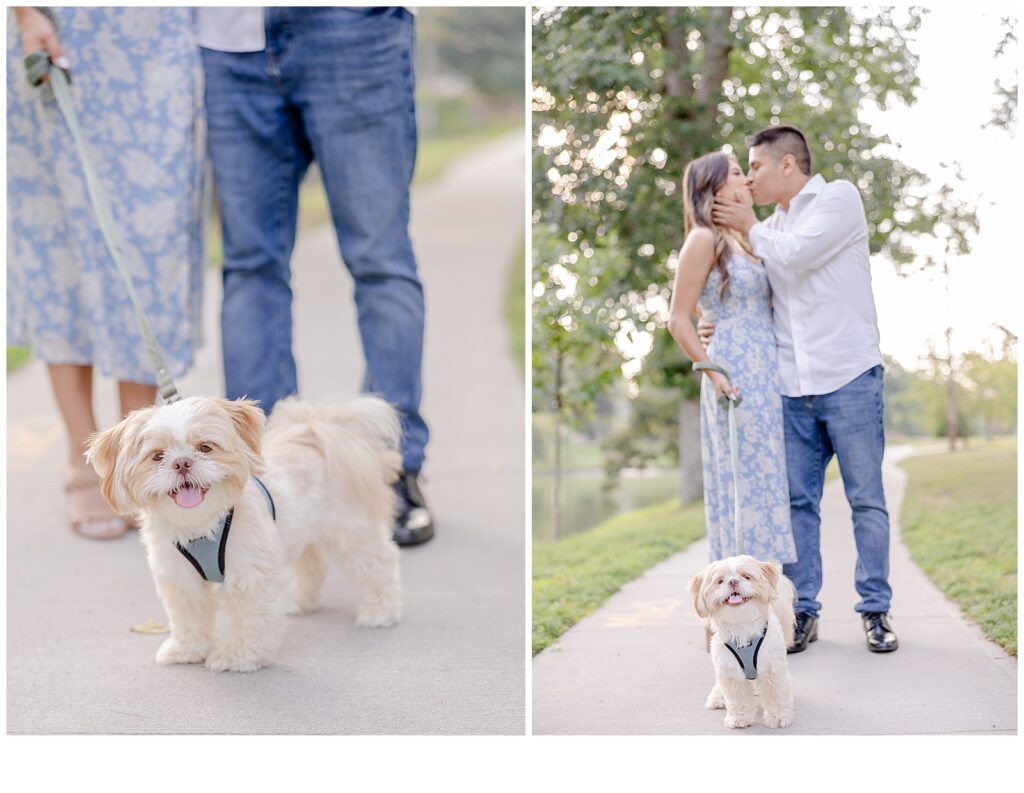 engaged couple with dog photos